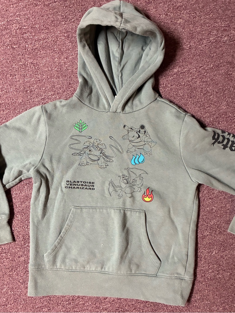 Pokemon Kids Hoodie in Sage Green with Character Icons
